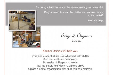 Another-Opinion-Purge-Organize-Handout.pdf-copy