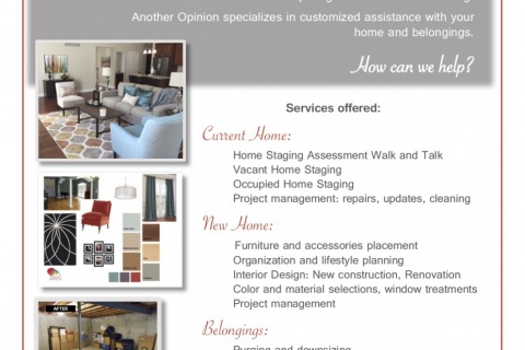 Another-Opinion-RealtorSeller-Handout-copy